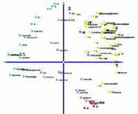 PCA metabolites